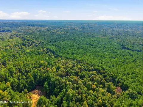 Levi Cooper Road, Braxton, MS 39044 photo 6