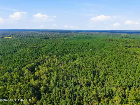 Levi Cooper Road, Braxton, MS 39044 photo 7