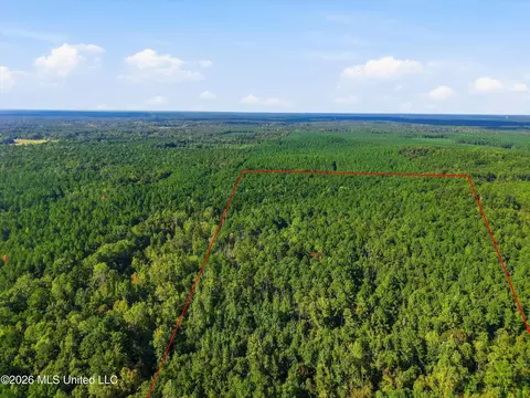 Levi Cooper Road, Braxton, MS 39044 photo 8