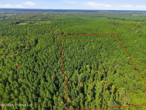 Levi Cooper Road, Braxton, MS 39044 photo 2