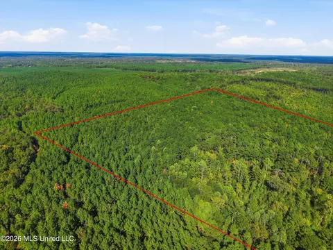 Levi Cooper Road, Braxton, MS 39044 photo 5