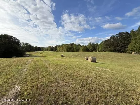 31 0, Como, MS 38619 photo 12