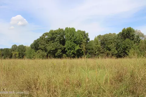 10 Star Landing Rd, Nesbit, MS 38651 photo 41