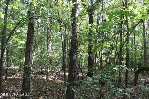 10 Star Landing Rd, Nesbit, MS 38651 photo 3