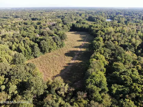 10 Star Landing Rd, Nesbit, MS 38651 photo 25
