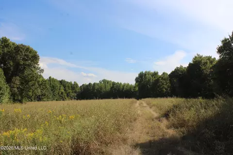 10 Star Landing Rd, Nesbit, MS 38651 photo 42