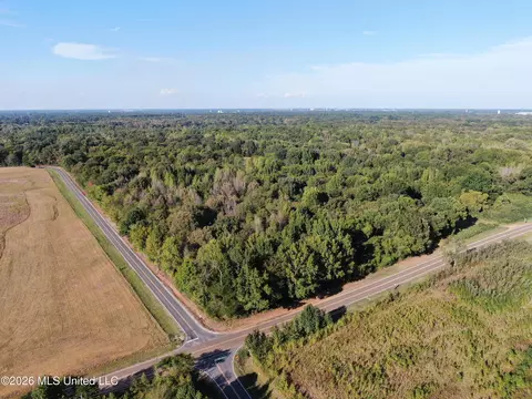 11 Star Landing Rd, Nesbit, MS 38651 photo 23