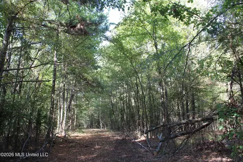 11 Star Landing Rd, Nesbit, MS 38651 photo 24