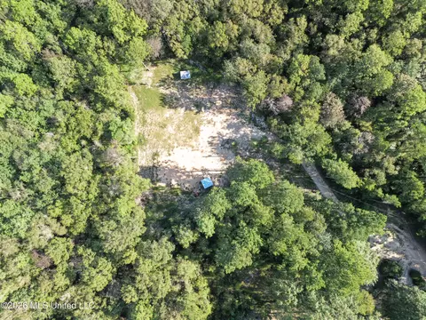 33 Range Line Rd, Perkinston, MS 39573 photo 16