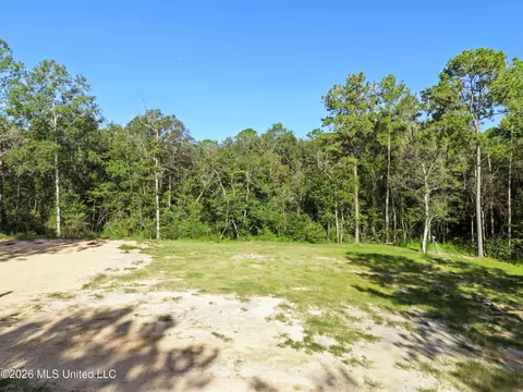 33 Range Line Rd, Perkinston, MS 39573 photo 2