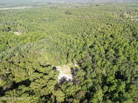 33 Range Line Rd, Perkinston, MS 39573 photo 11
