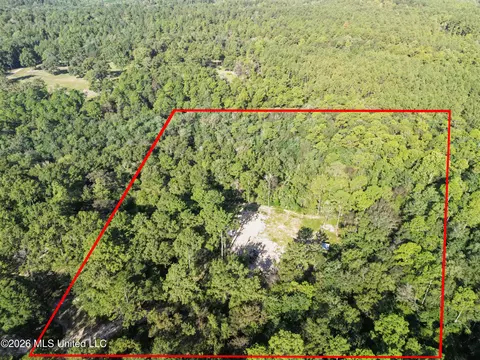 33 Range Line Rd, Perkinston, MS 39573 photo 3