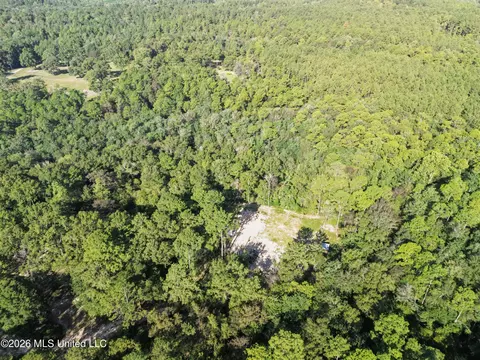 33 Range Line Rd, Perkinston, MS 39573 photo 9