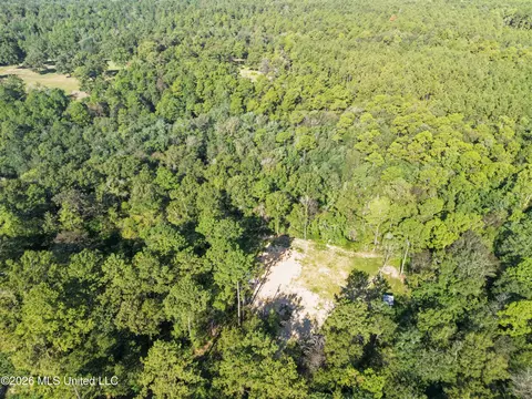 33 Range Line Rd, Perkinston, MS 39573 photo 8