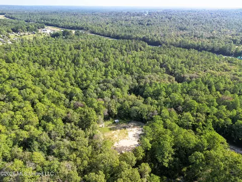 33 Range Line Rd, Perkinston, MS 39573 photo 15