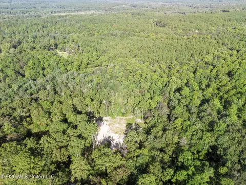 33 Range Line Rd, Perkinston, MS 39573 photo 10