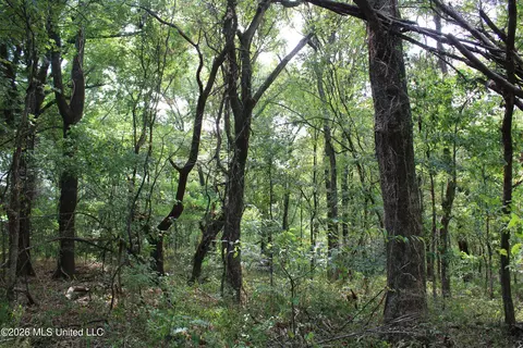12 Star Landing Rd, Nesbit, MS 38651 photo 4