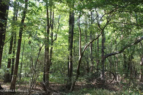 12 Star Landing Rd, Nesbit, MS 38651 photo 25