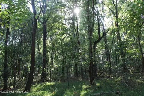 12 Star Landing Rd, Nesbit, MS 38651 photo 44