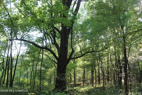 12 Star Landing Rd, Nesbit, MS 38651 photo 35