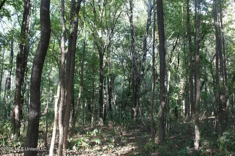 12 Star Landing Rd, Nesbit, MS 38651 photo 39