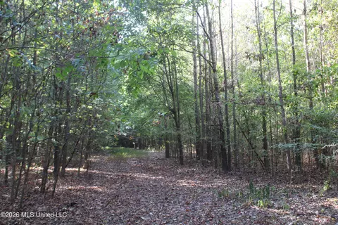 12 Star Landing Rd, Nesbit, MS 38651 photo 34