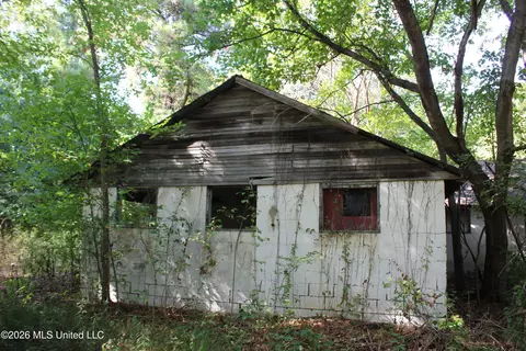 12 Star Landing Rd, Nesbit, MS 38651 photo 16