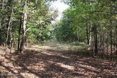 12 Star Landing Rd, Nesbit, MS 38651 photo 28