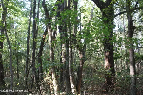 13 Star Landing Rd, Nesbit, MS 38651 photo 43