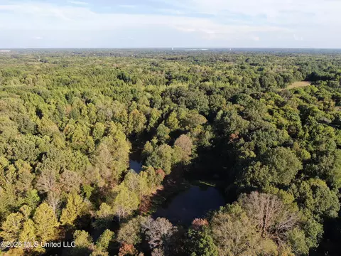 14 Star Landing Rd, Nesbit, MS 38651 photo 53