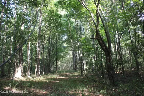 14 Star Landing Rd, Nesbit, MS 38651 photo 5