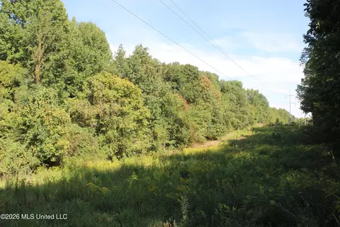 14 Star Landing Rd, Nesbit, MS 38651 photo 26