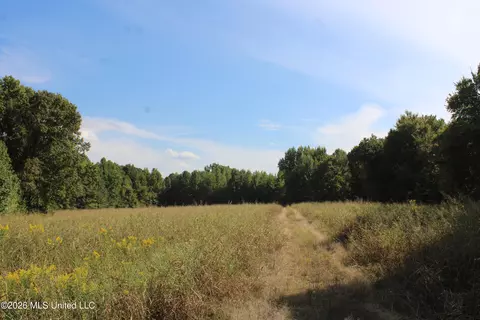 15 Tulane Rd, Nesbit, MS 38651 photo 42