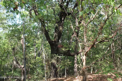 15 Tulane Rd, Nesbit, MS 38651 photo 45