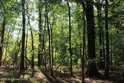 15 Tulane Rd, Nesbit, MS 38651 photo 57