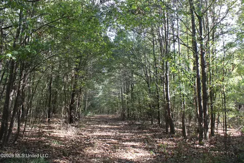 15 Tulane Rd, Nesbit, MS 38651 photo 59