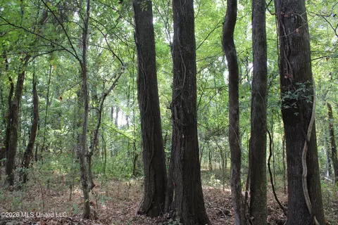 15 Tulane Rd, Nesbit, MS 38651 photo 35
