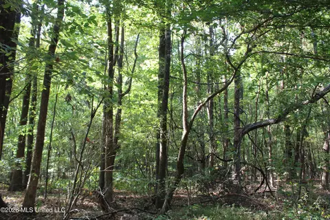 15 Tulane Rd, Nesbit, MS 38651 photo 58