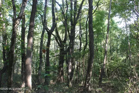 15 Tulane Rd, Nesbit, MS 38651 photo 27