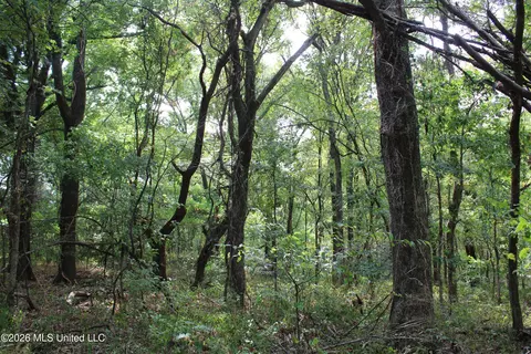 15 Tulane Rd, Nesbit, MS 38651 photo 34