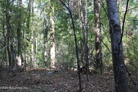 15 Tulane Rd, Nesbit, MS 38651 photo 56