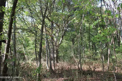15 Tulane Rd, Nesbit, MS 38651 photo 46