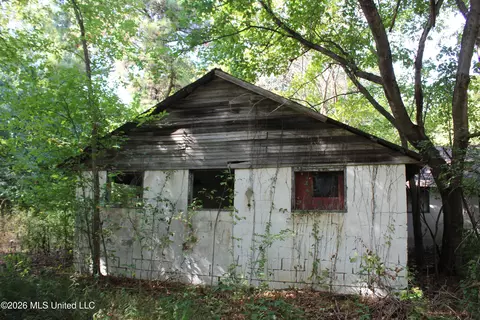 15 Tulane Rd, Nesbit, MS 38651 photo 48
