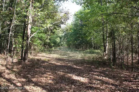 15 Tulane Rd, Nesbit, MS 38651 photo 61