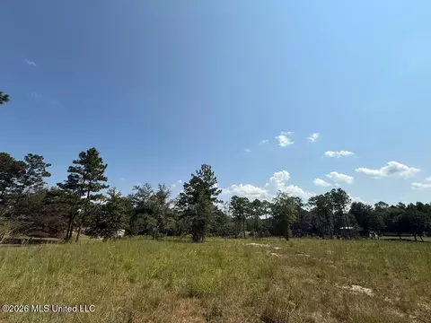 Cypress Place, Perkinston, MS 39573 photo 2