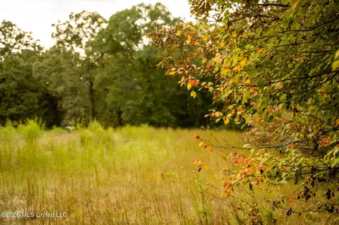 Co Rd 717, Union, MS 39365 photo 25