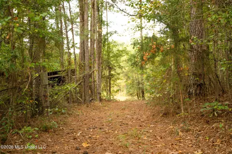 Co Rd 717, Union, MS 39365 photo 15