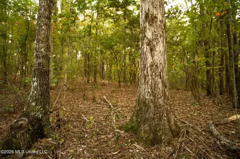Co Rd 717, Union, MS 39365 photo 19