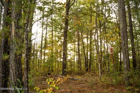 Co Rd 717, Union, MS 39365 photo 12