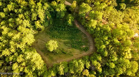 Co Rd 717, Union, MS 39365 photo 9